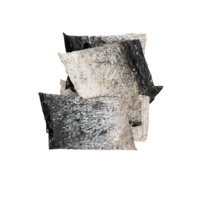 Salmon Skins