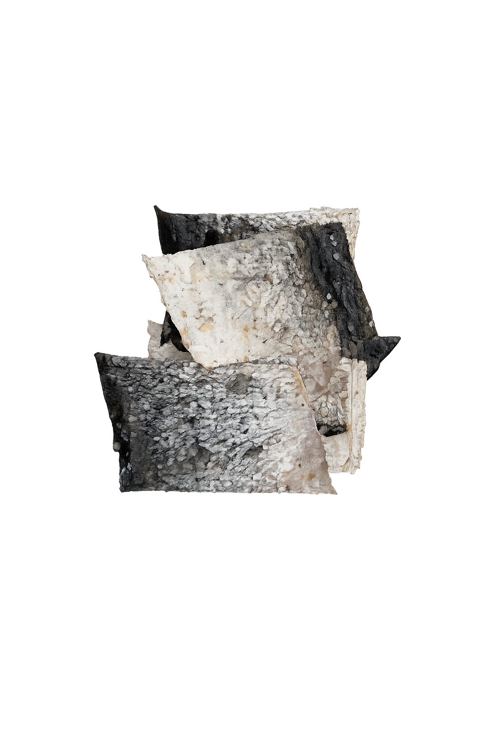 Salmon Skins